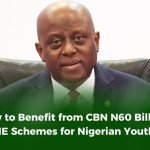 How to Benefit from CBN N60 Billion SME Schemes for Nigerian Youths