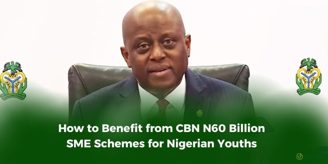 How to Benefit from CBN N60 Billion SME Schemes for Nigerian Youths